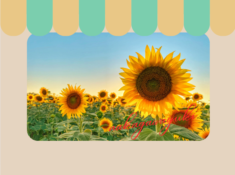 暑い夏がやってきました🌻