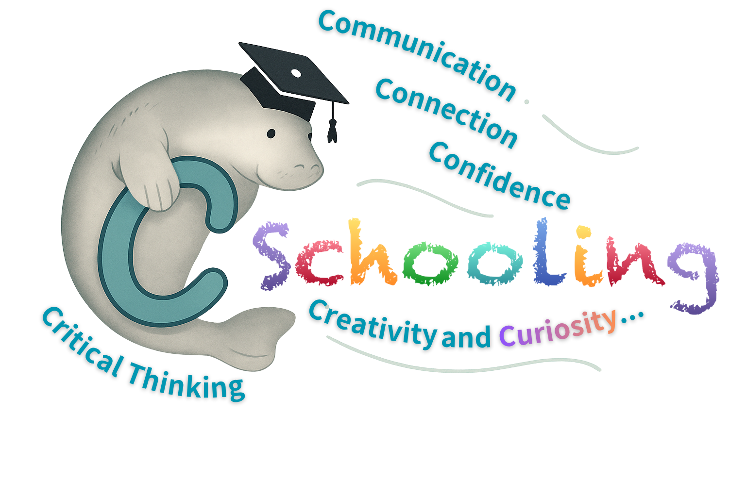 C Schooling