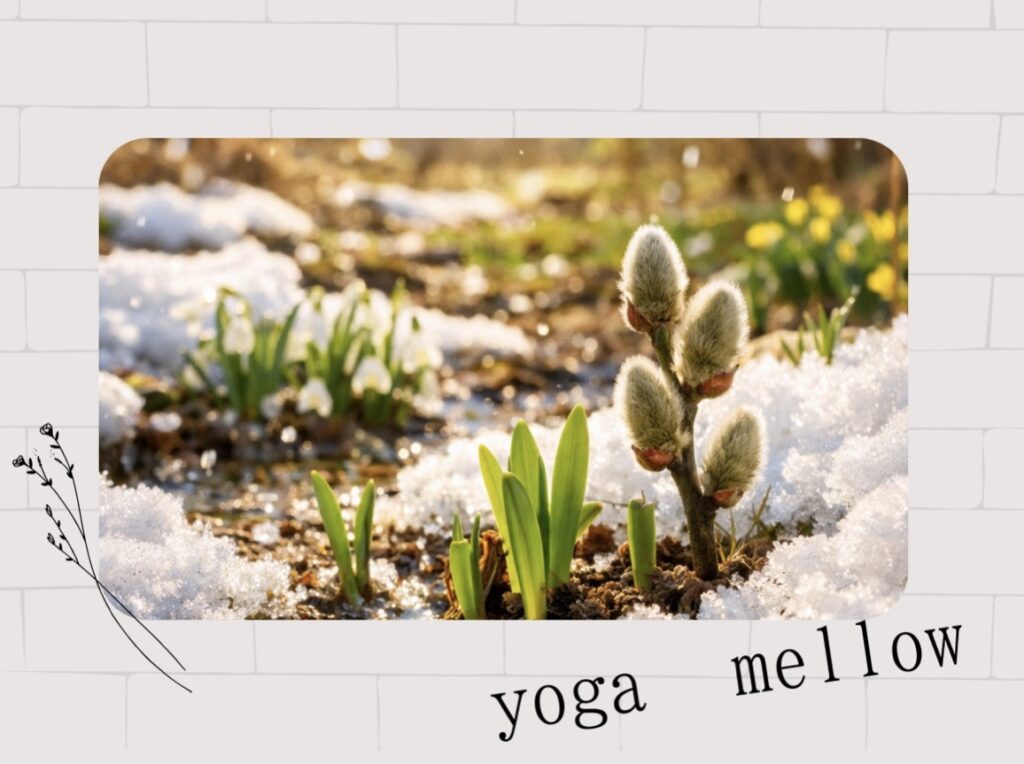 ２月４日は立春🌱〜春の過ごしかた〜